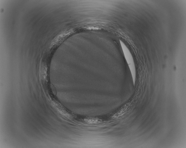 X0000080810693200701051150