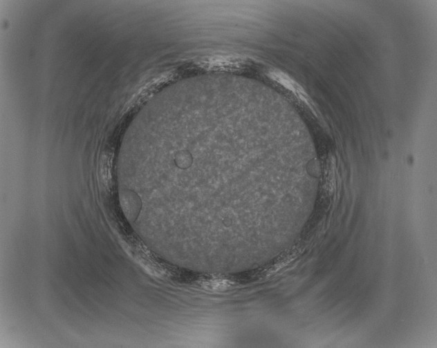 X0000080810695200701051150