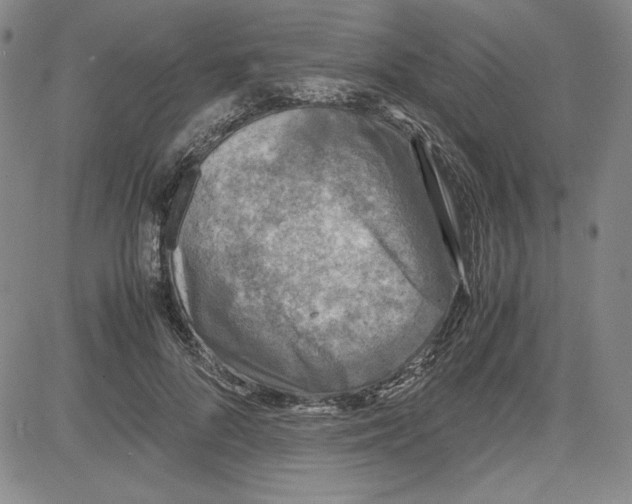 X0000080810696200701051150