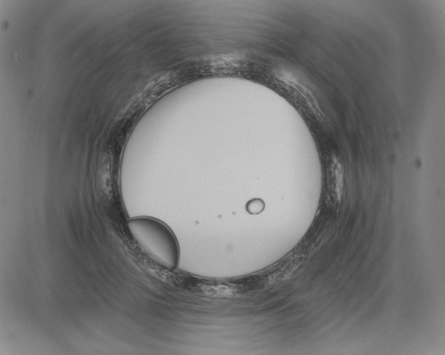 X0000080810698200701051150