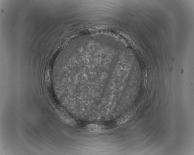 X0000080810699200701051150