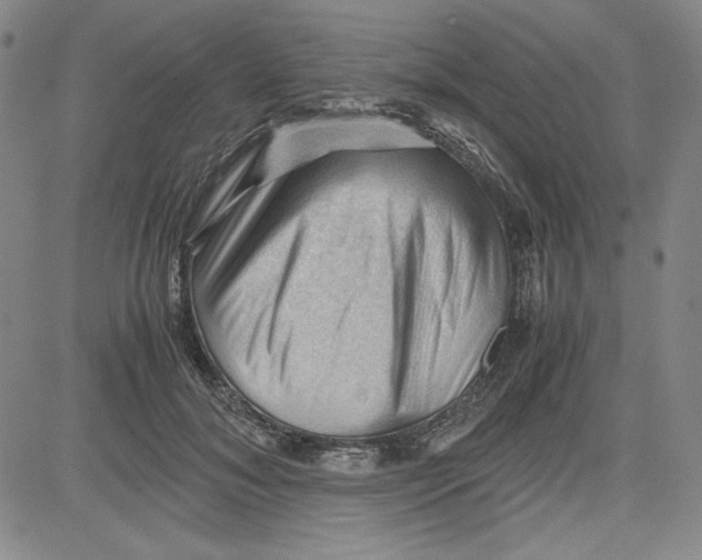 X0000080810700200701051150