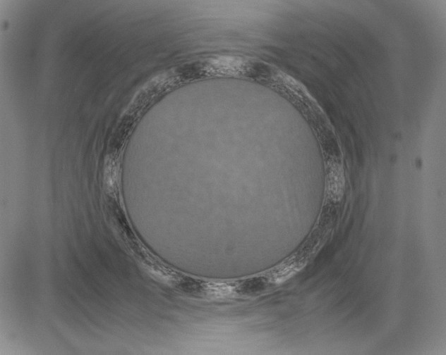 X0000080810701200701051150