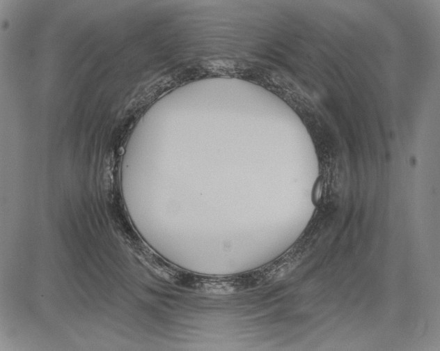 X0000080810702200701051150