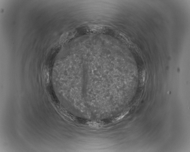 X0000080810703200701051150