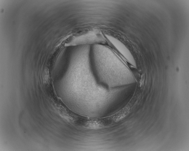 X0000080810704200701051150