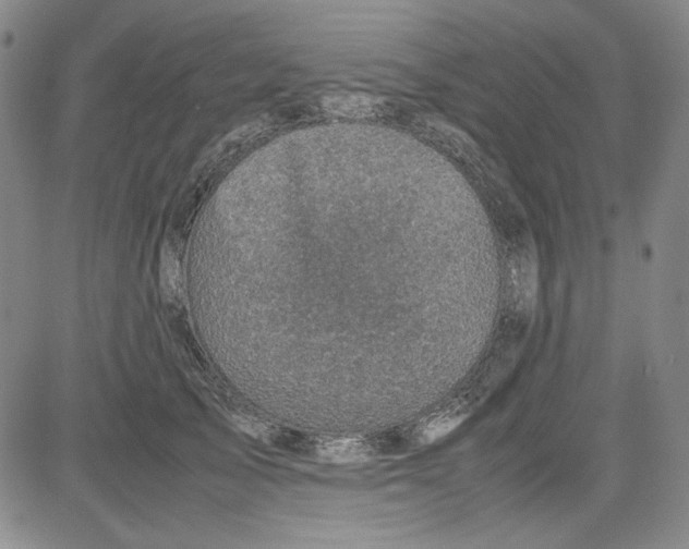 X0000080810705200701051150