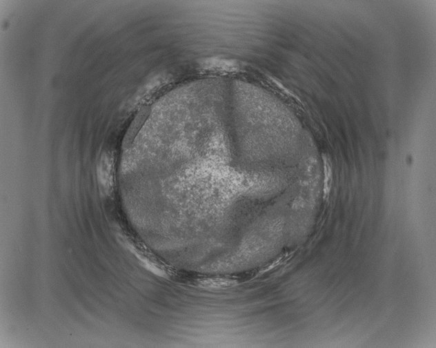 X0000080810708200701051150