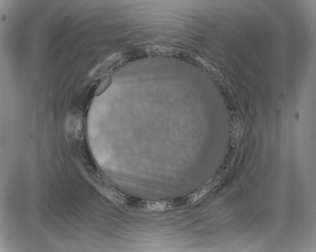 X0000080810709200701051150