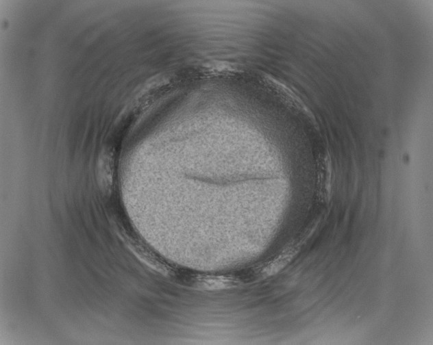 X0000080810710200701051150