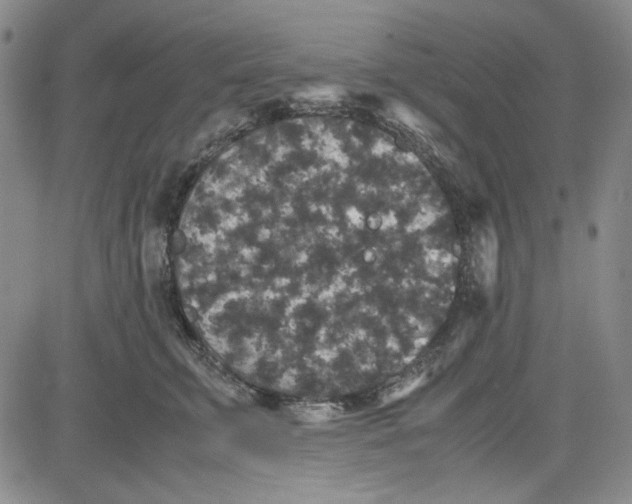 X0000080810711200701051150