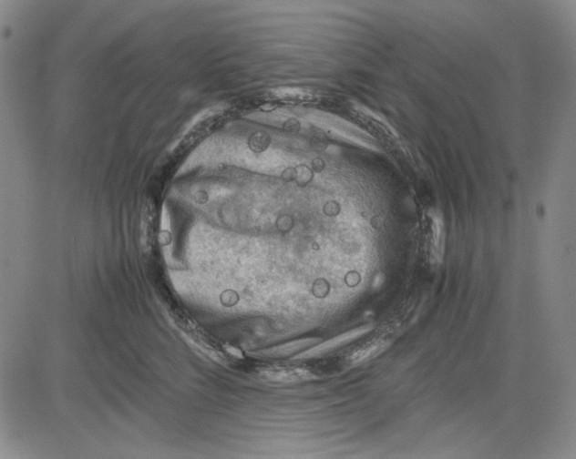 X0000080810712200701051150