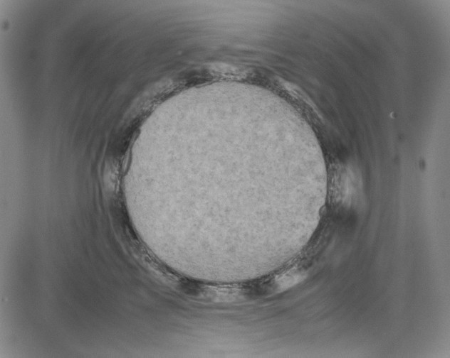 X0000080810713200701051150