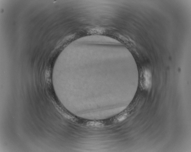 X0000080810714200701051150