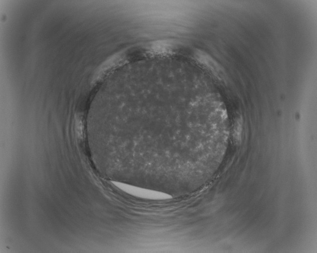 X0000080810715200701051150