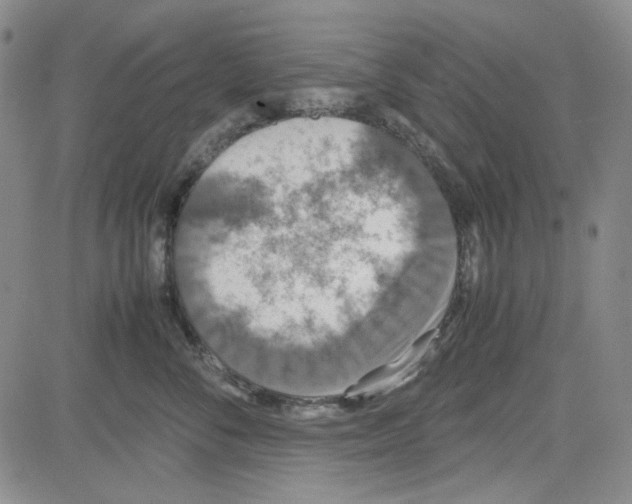 X0000080810716200701051150