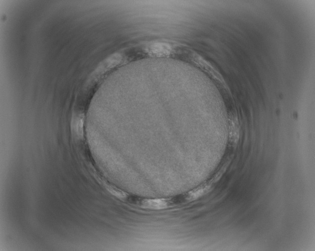 X0000080810717200701051150