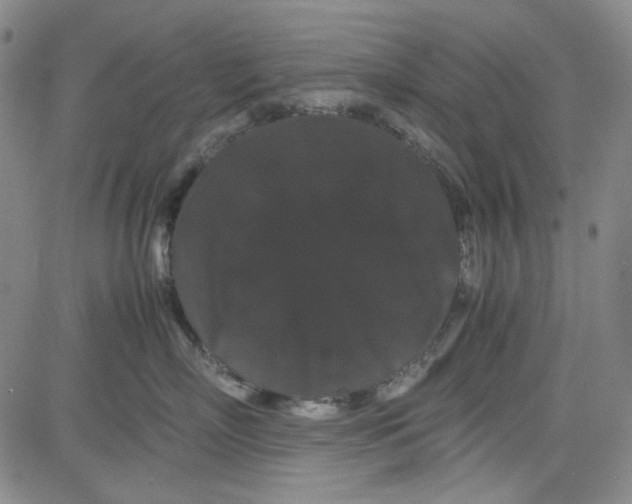 X0000080810718200701051150