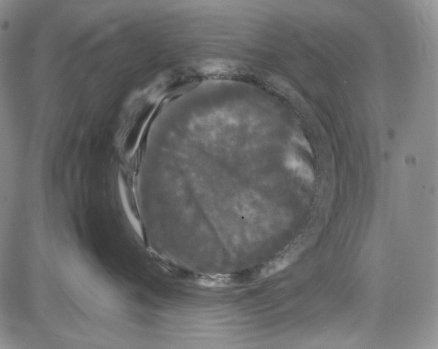 X0000080810720200701051150