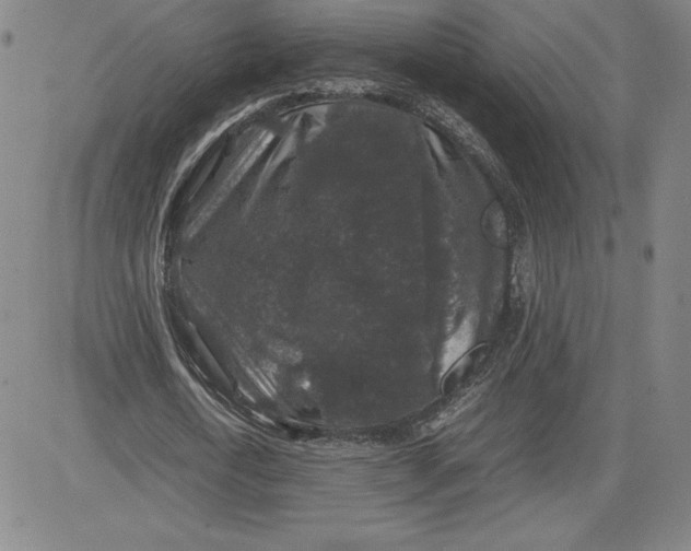 X0000080810722200701051149