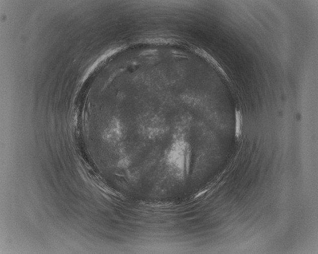 X0000080810723200701051149