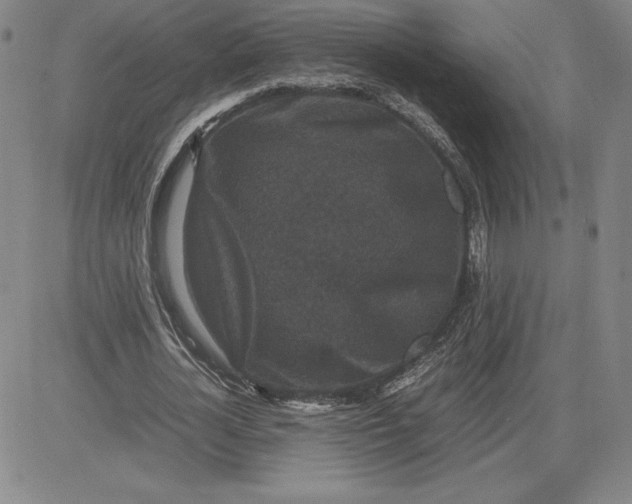 X0000080810724200701051149