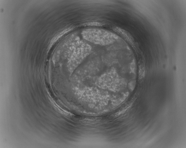 X0000080810725200701051149