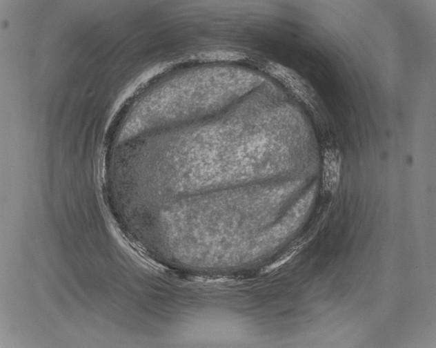 X0000080810726200701051149