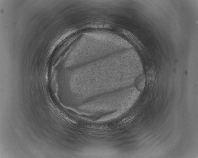 X0000080810727200701051149