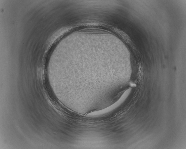 X0000080810728200701051149