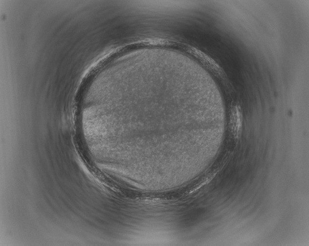 X0000080810730200701051149