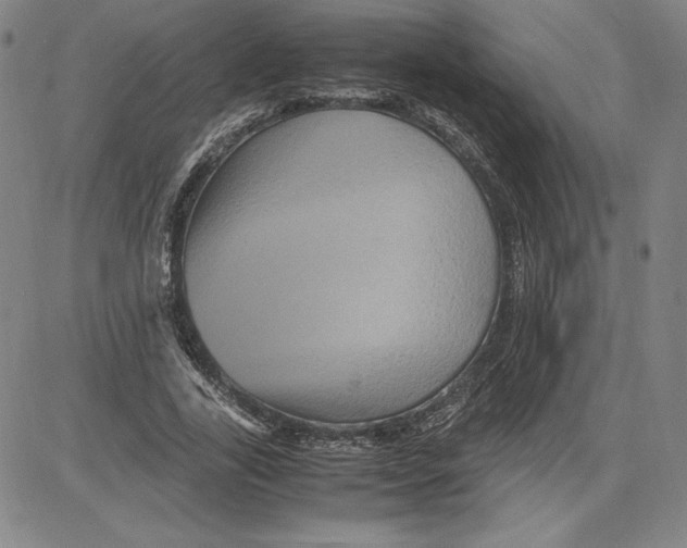 X0000080810731200701051149