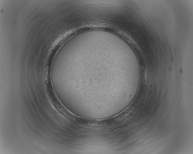 X0000080810732200701051149