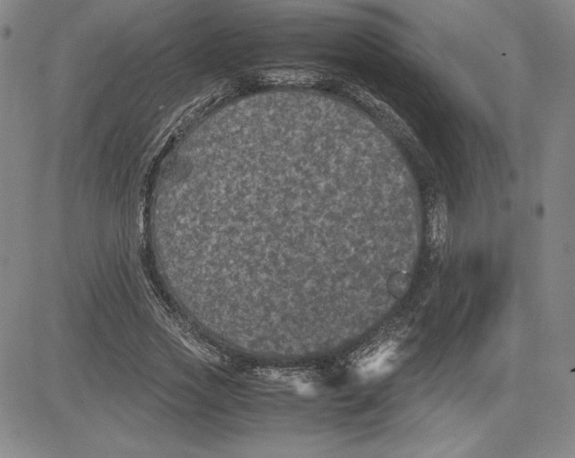 X0000080810733200701051149