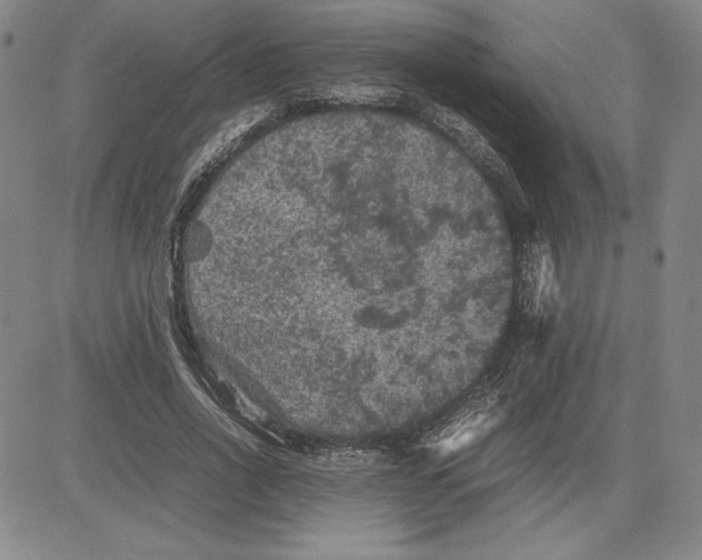 X0000080810734200701051149