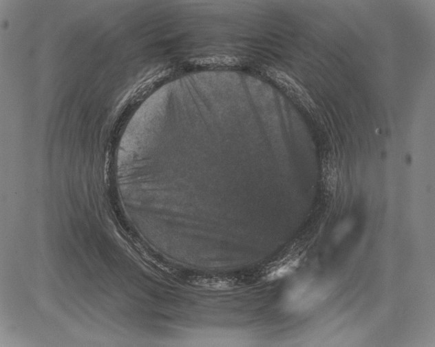 X0000080810735200701051149