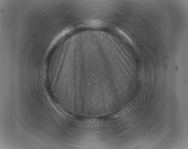 X0000080810736200701051149