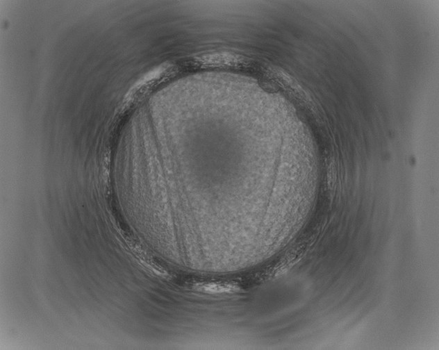 X0000080810737200701051149