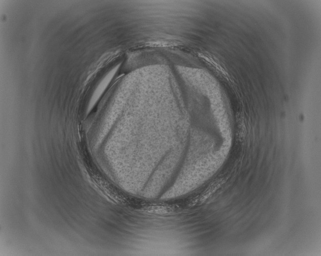 X0000080810738200701051149