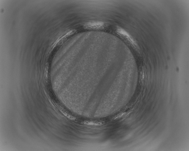 X0000080810739200701051149