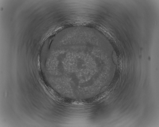 X0000080810742200701051149