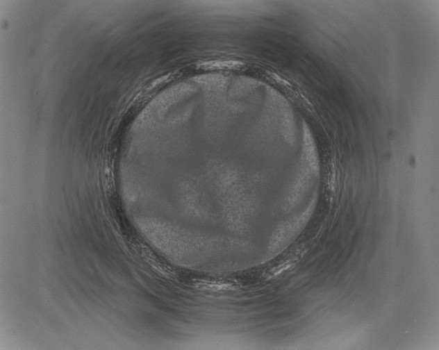 X0000080810743200701051150