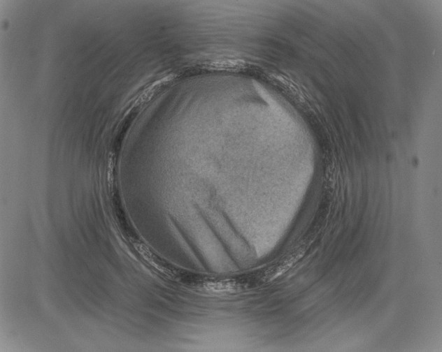 X0000080810744200701051150