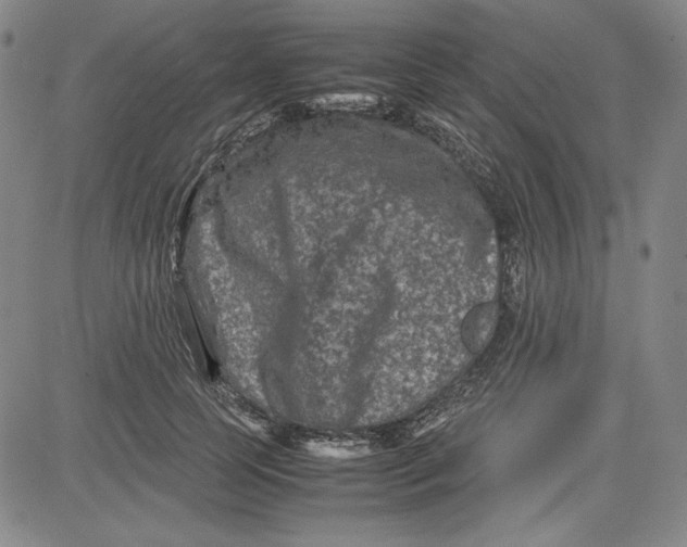 X0000080810745200701051150