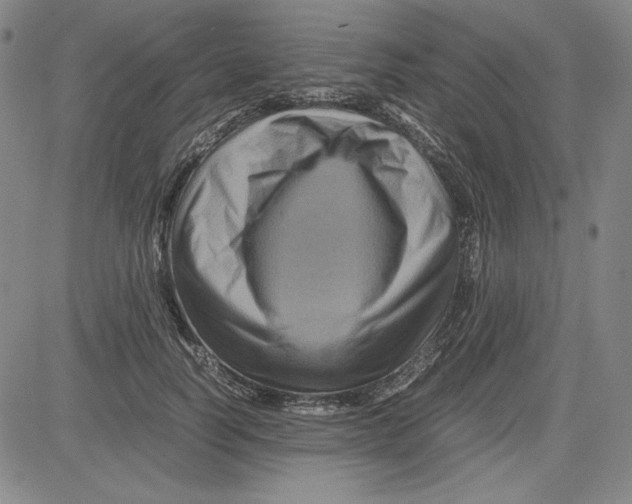 X0000080810746200701051150