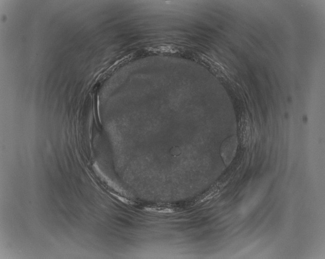 X0000080810747200701051150