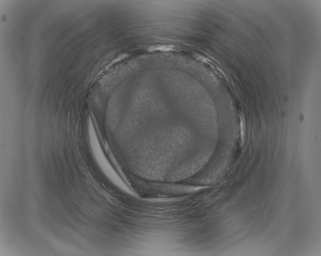 X0000080810750200701051150