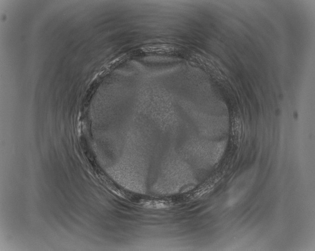 X0000080810751200701051150