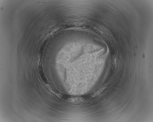 X0000080810752200701051150