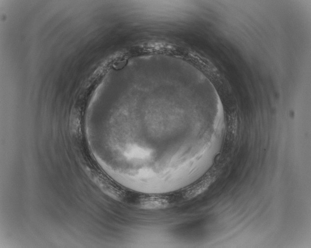 X0000080810754200701051150